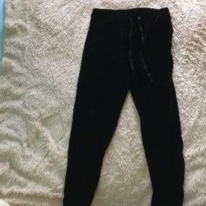 GAP velvet sweatpants